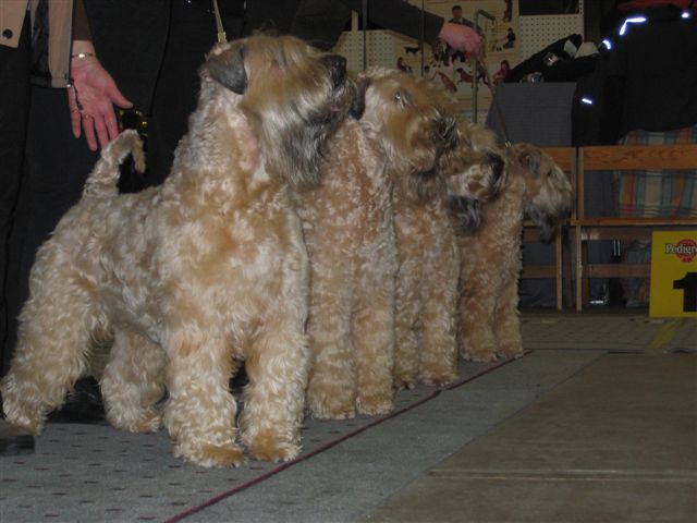 Slideshow Image 5