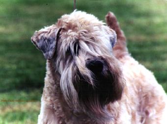 Slideshow Image 4